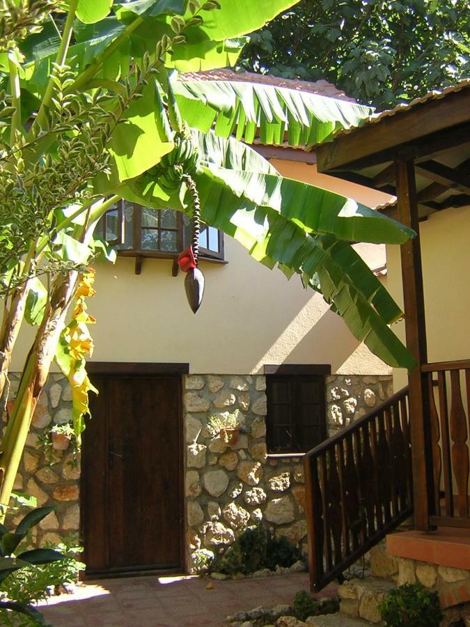 Mountain Lodge Hotel Doger Koyu Екстер'єр фото